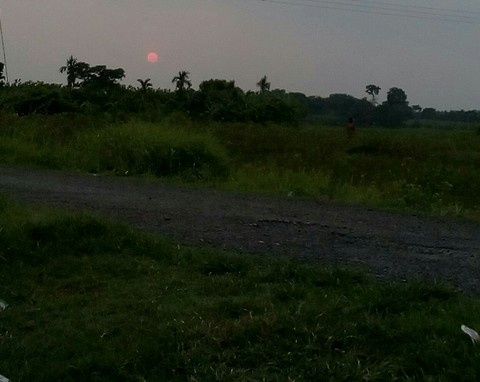 sunset