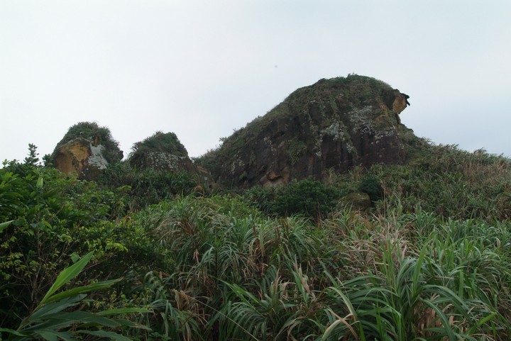Scenics