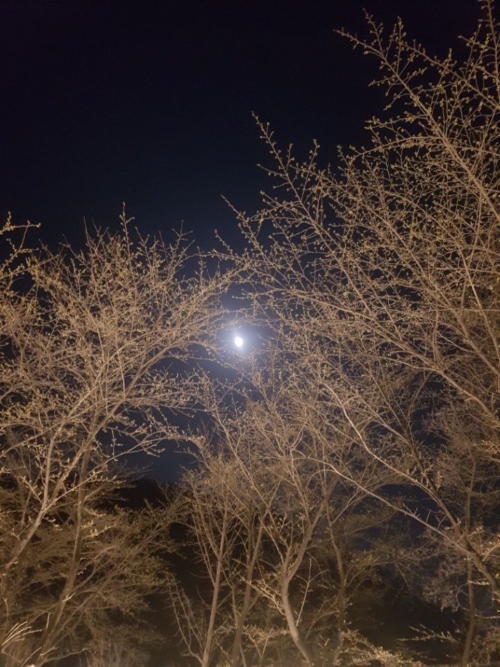 달