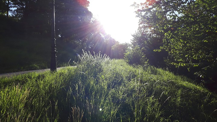 Sunshine in Germany.