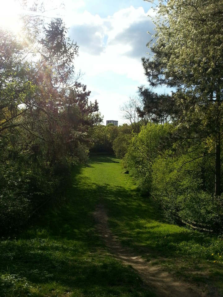 Park
