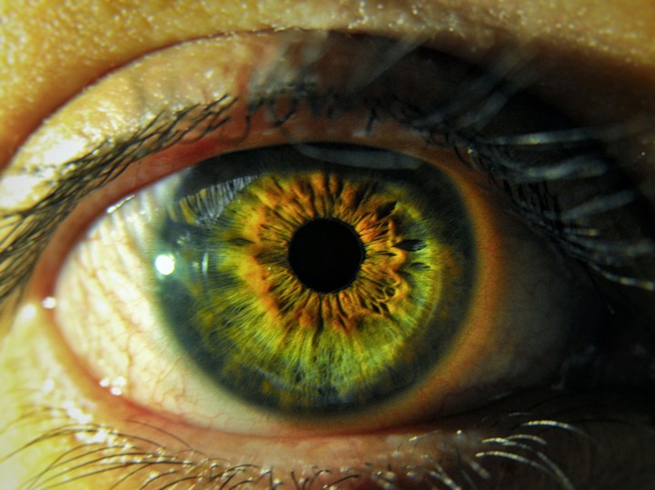 His sight