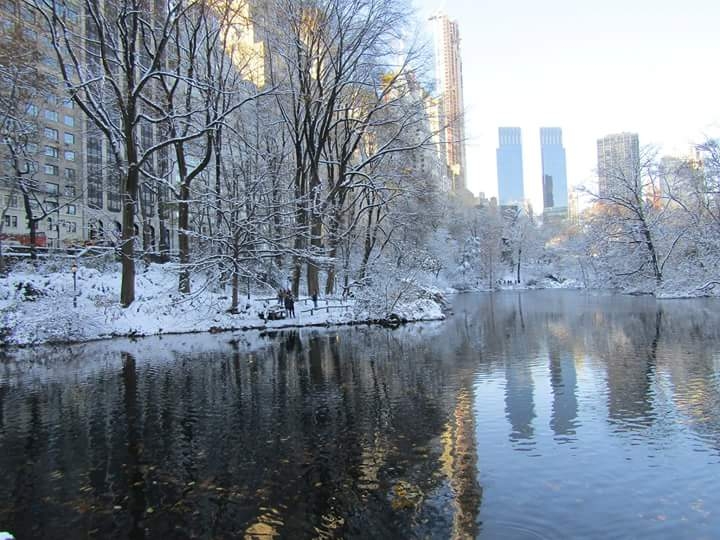 central park