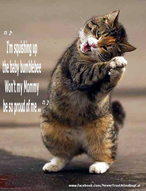 I'm squishing up the baby bumblebee won't my mommy