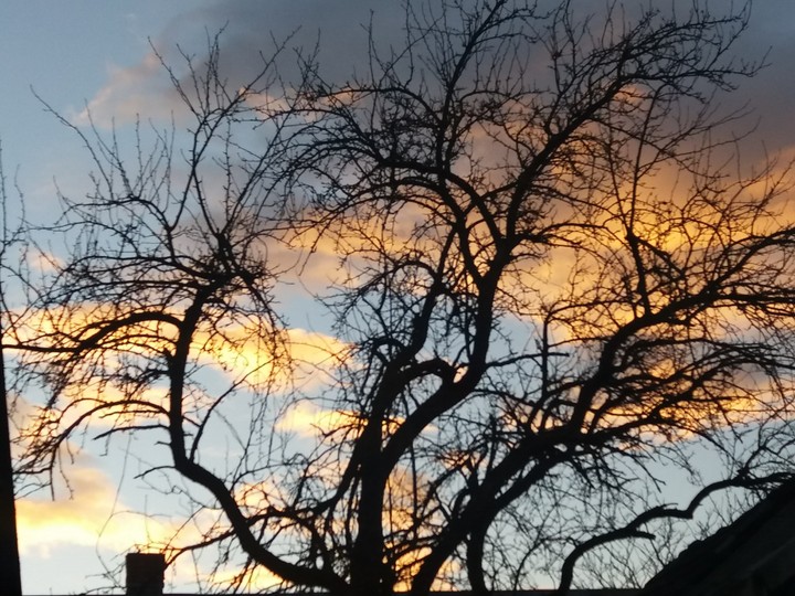 Clouds on the tree