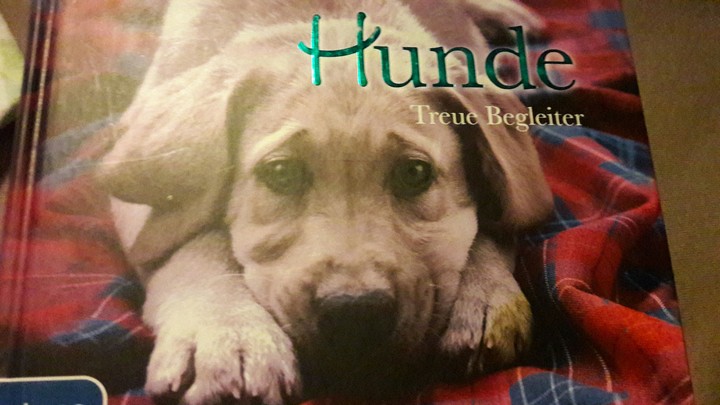 Hunde