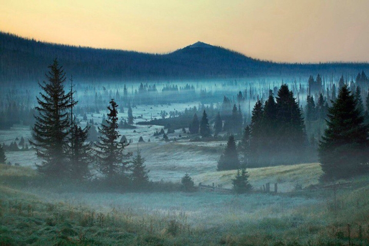 лес