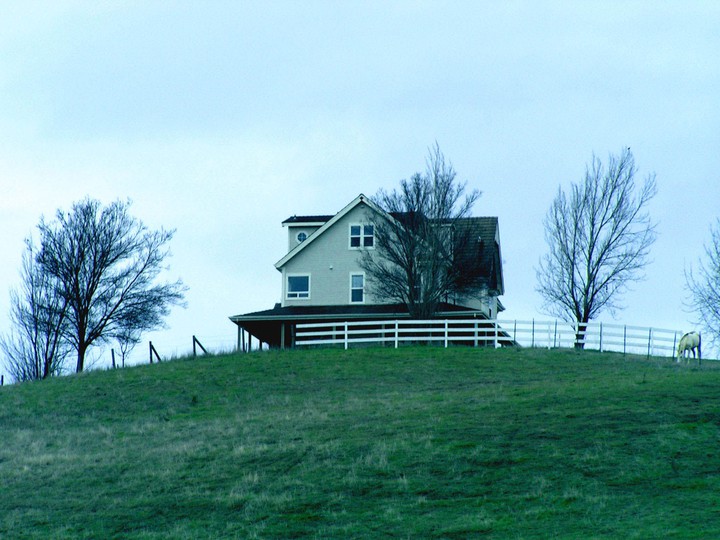 The Horses