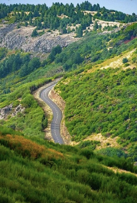 vegetation, hill háttérképek
