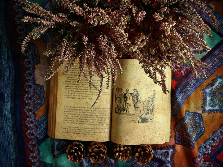 Book