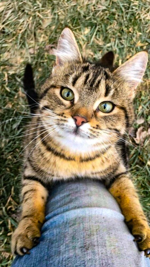 In those eyes the whole world