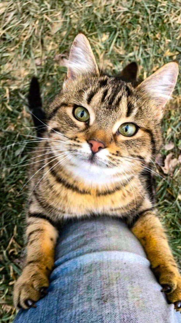 In those eyes the whole world