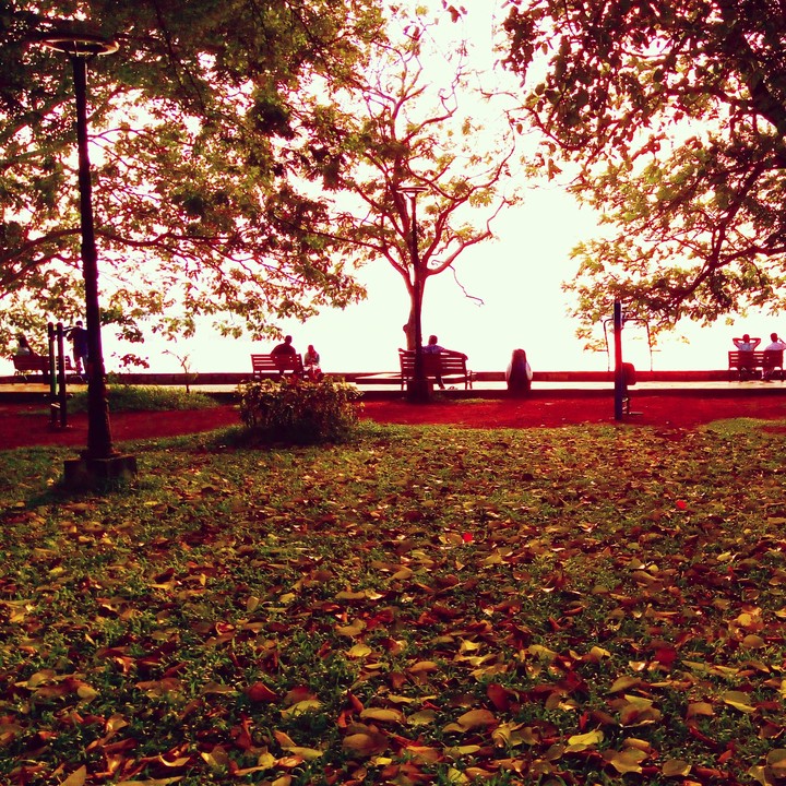 subash park ernakulam