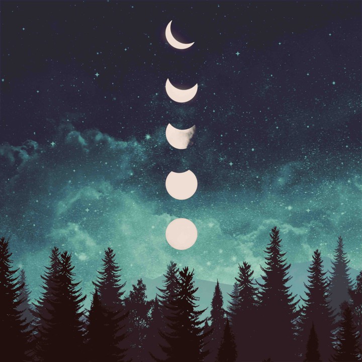 lunas