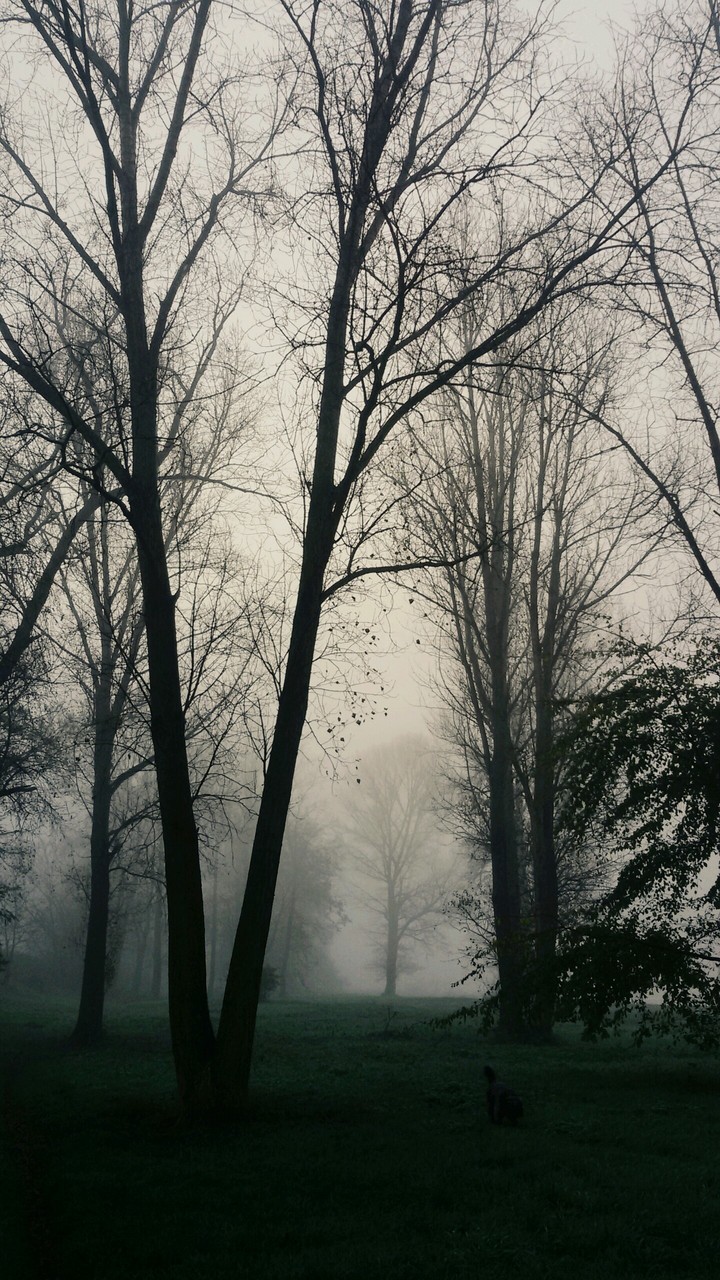 autumn morning walk