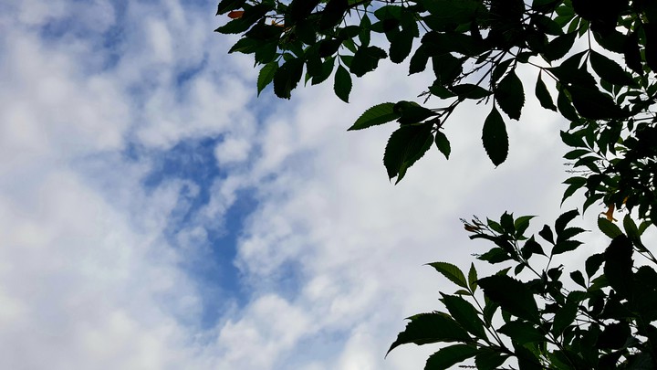 Sky.