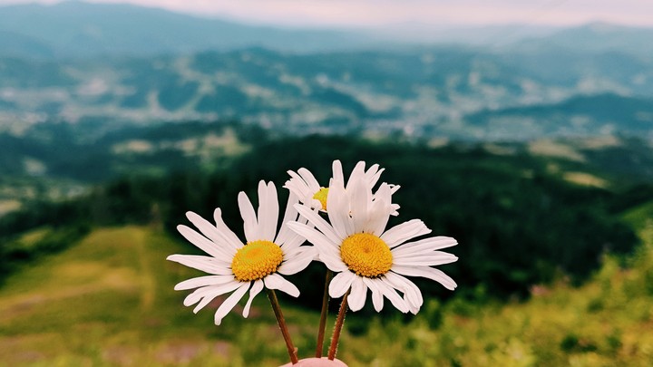 summer