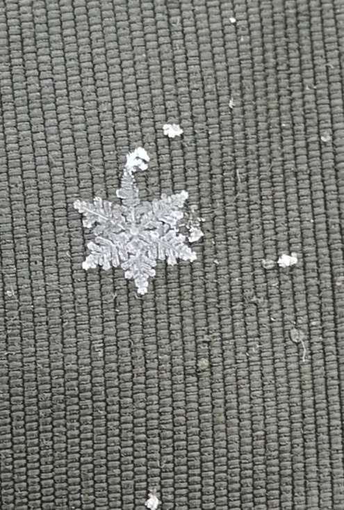 Snowflake