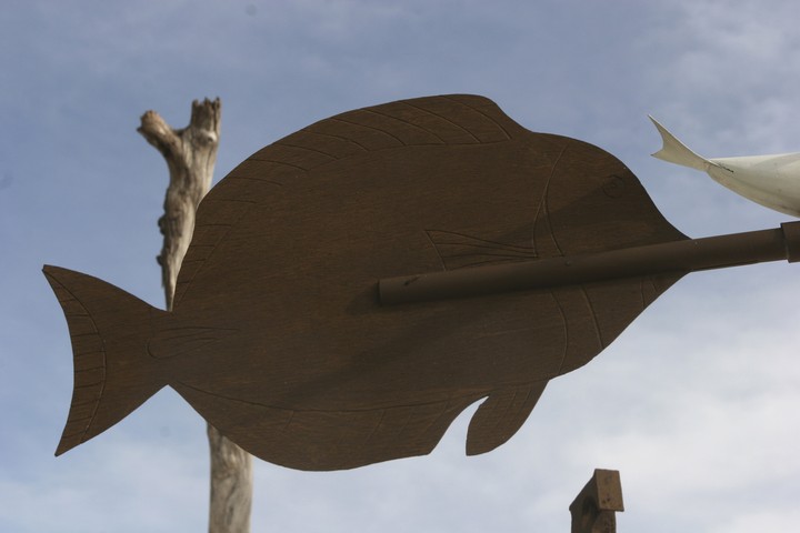 Africa
