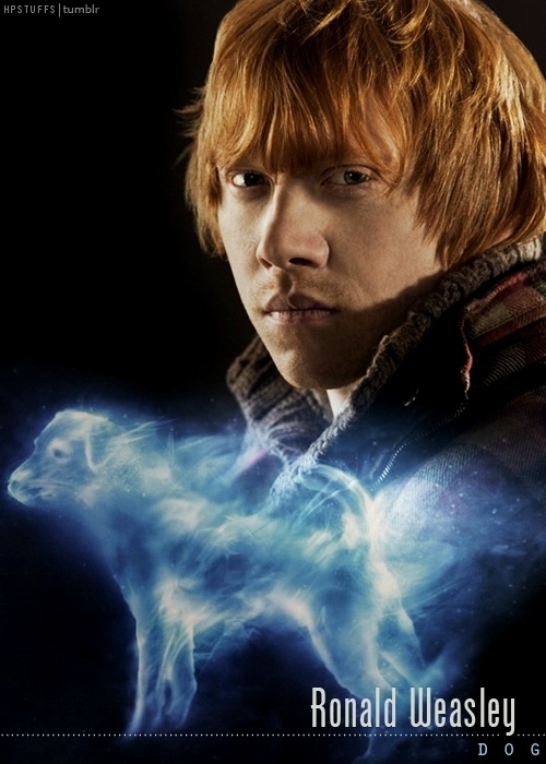 Ron Weasley and his Patronus