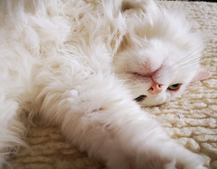 lazy ?