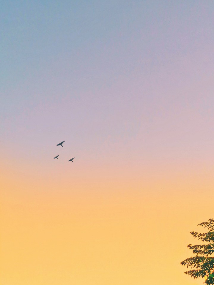 freedom is doing what you love to do
