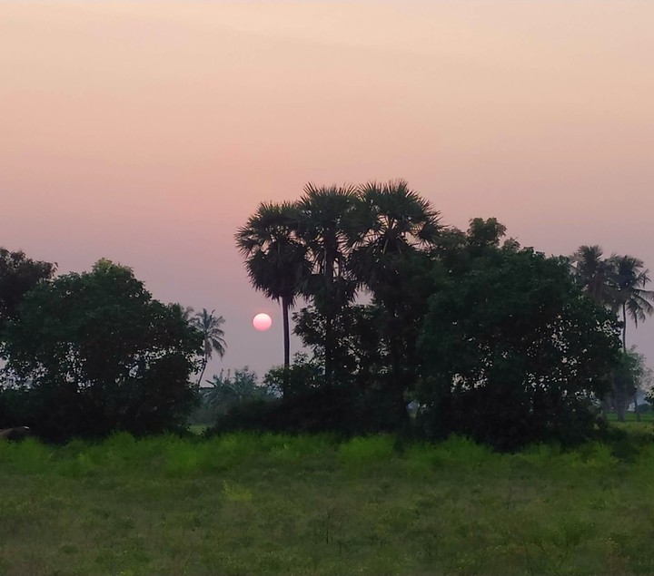 sunset