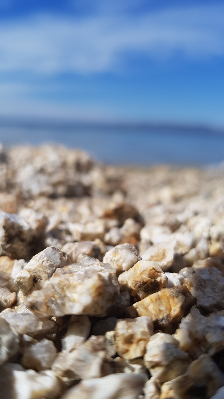 природные мотивы