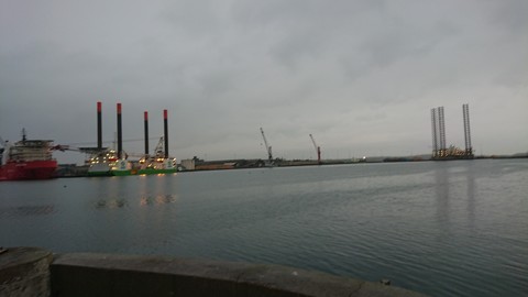 Harbor