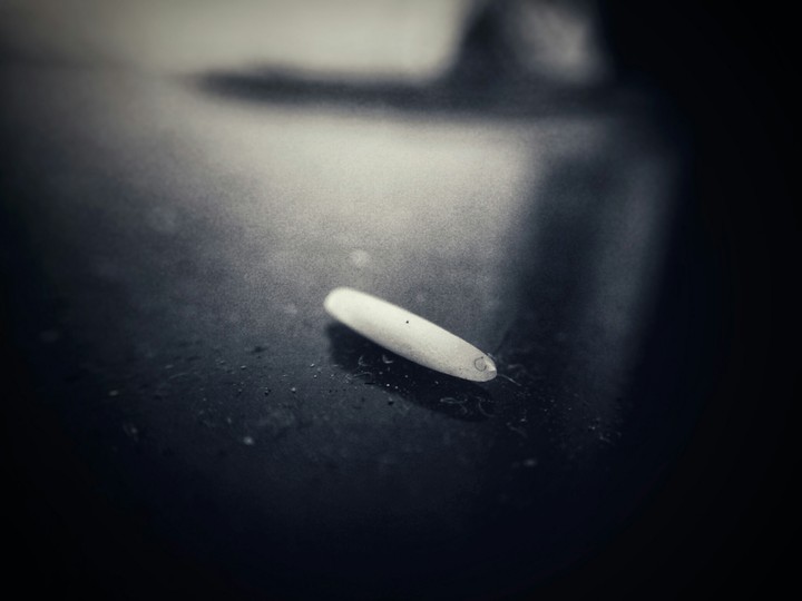 Rice Grain