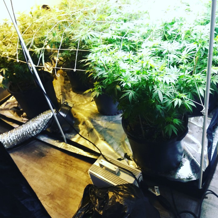 com grow with me