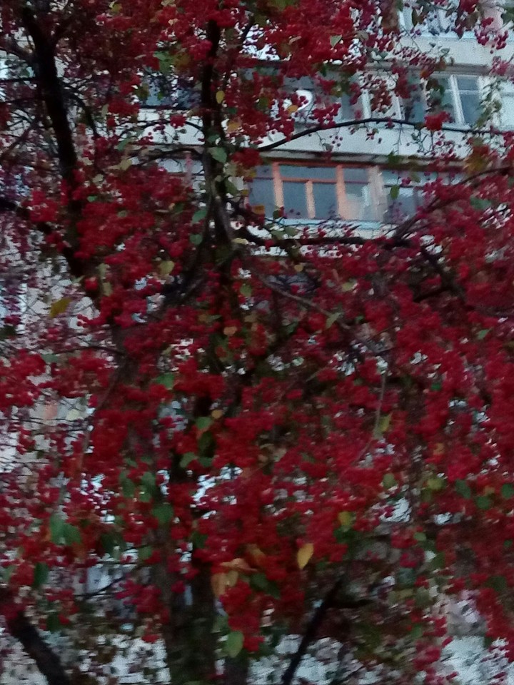 осень