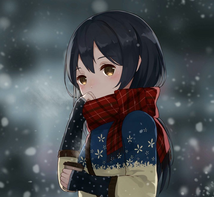 School idol project