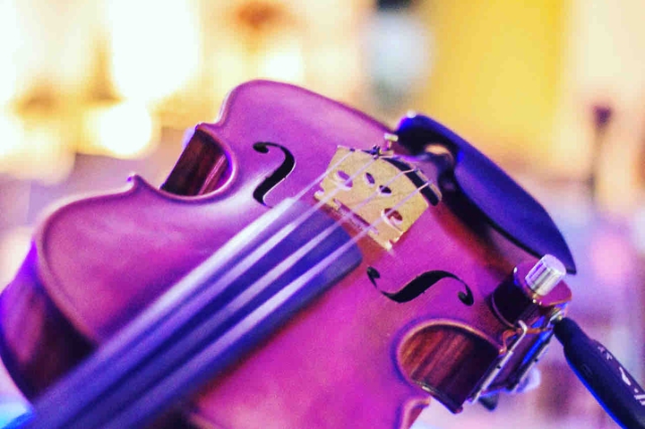 violino