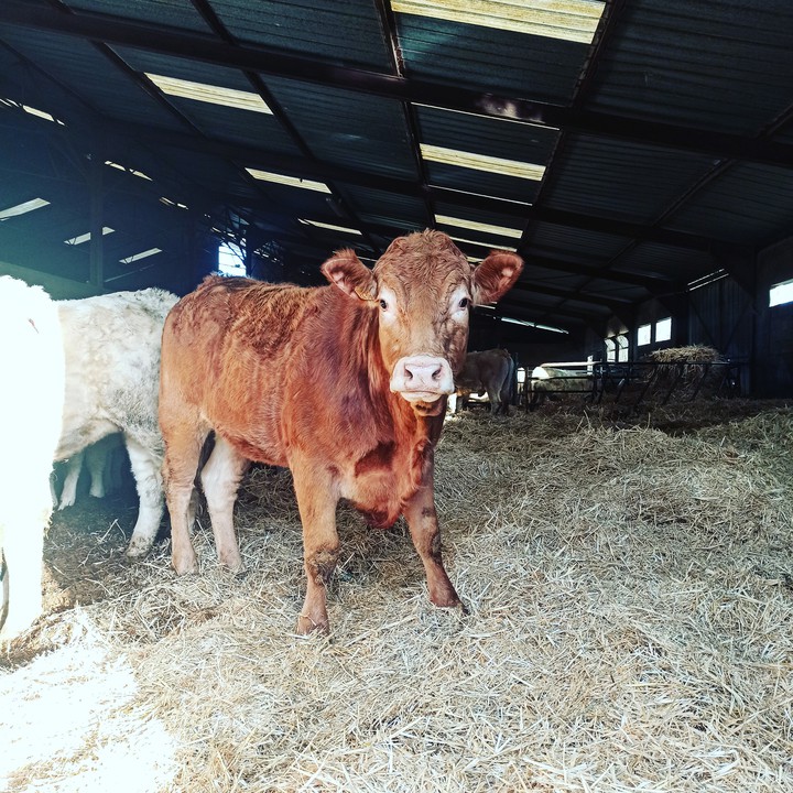 ferme