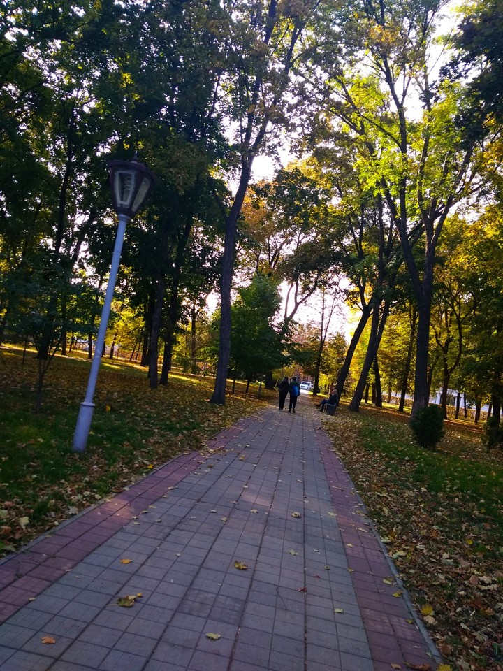 Осень...