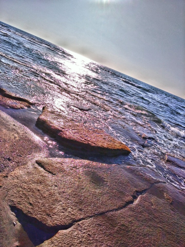mare