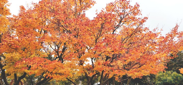 Autun