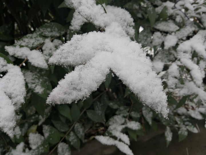 snow
