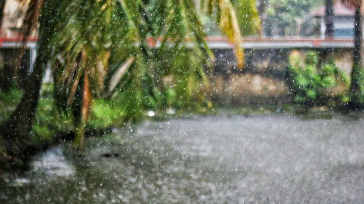 Rain drops
