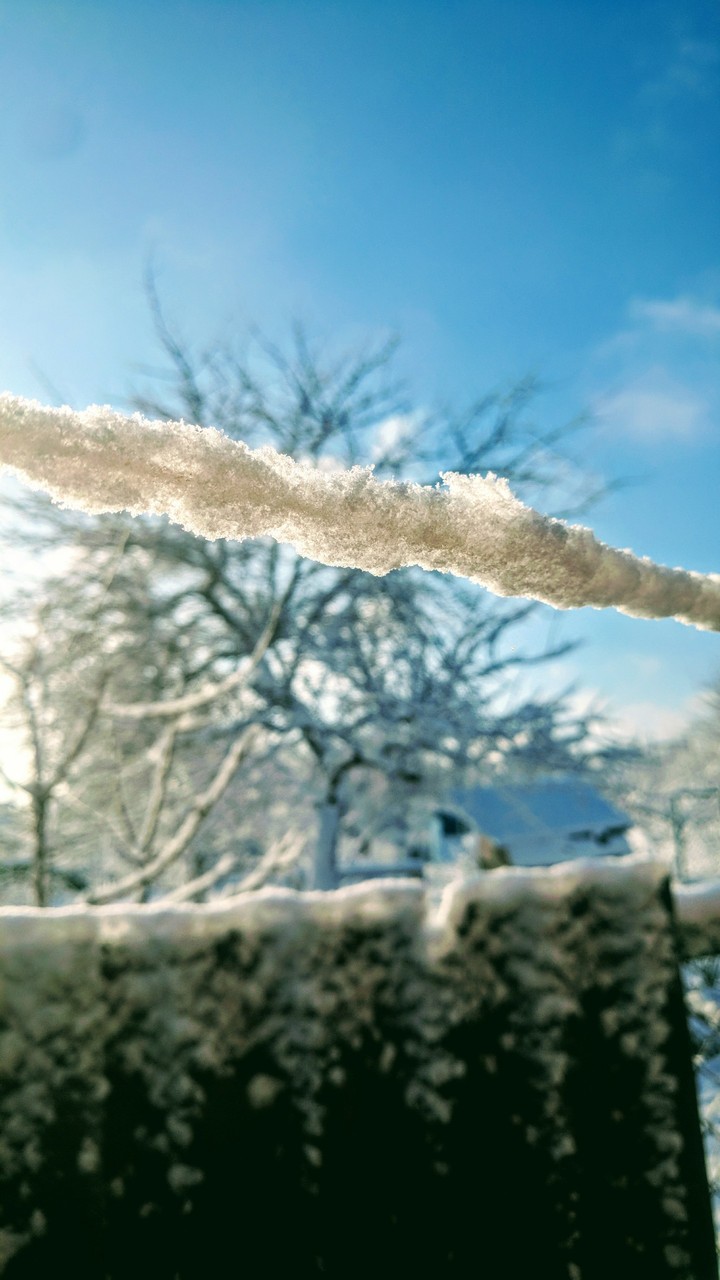 winter