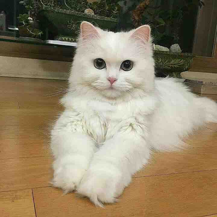 waiting