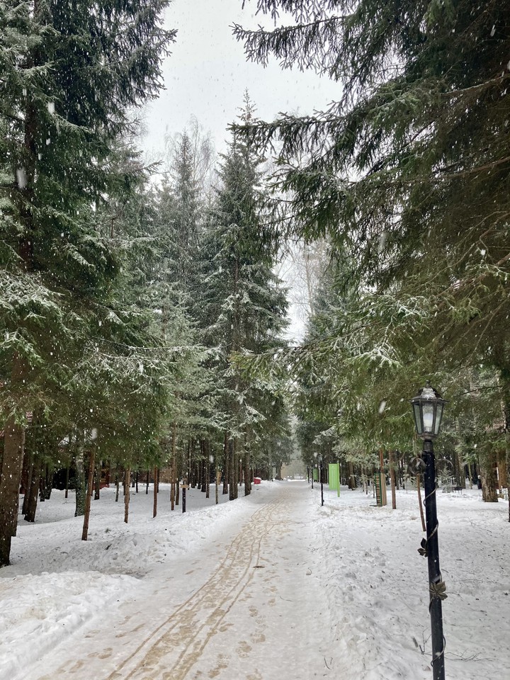 Snowfall