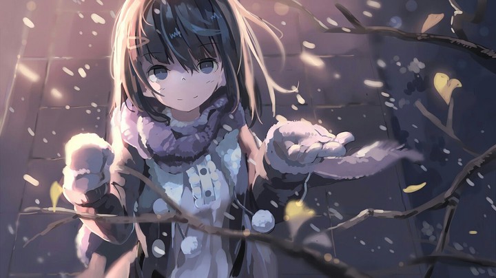 The first snowfall