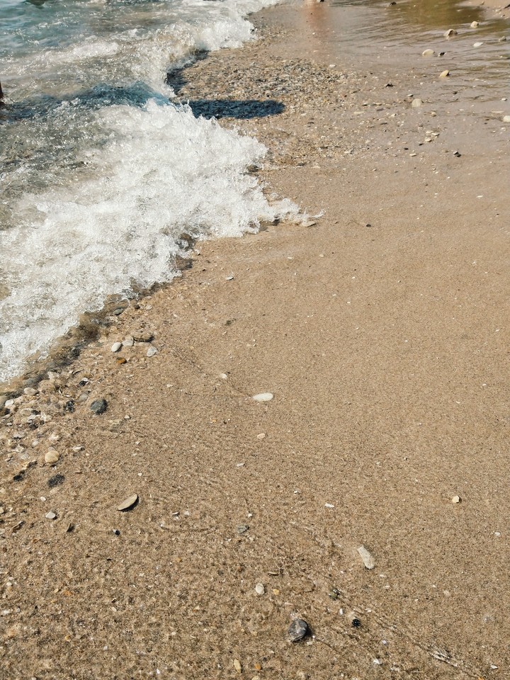 Seashore 