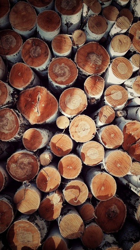 Firewood