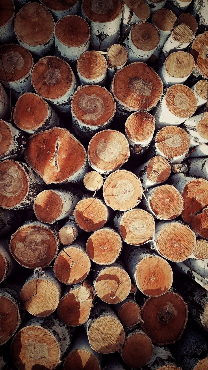 Firewood