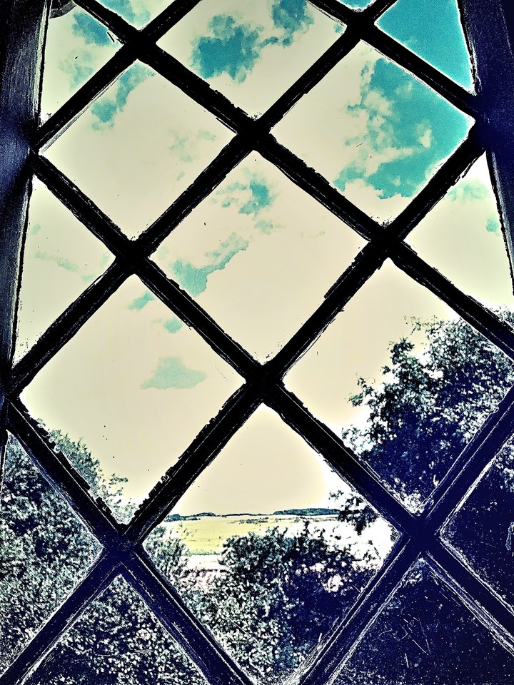 Window