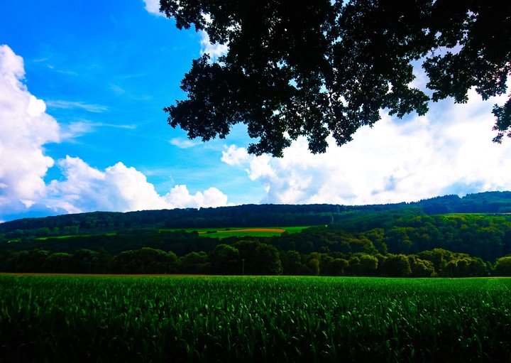 ｌｕｘｅｍｂｏｕｒｇ
