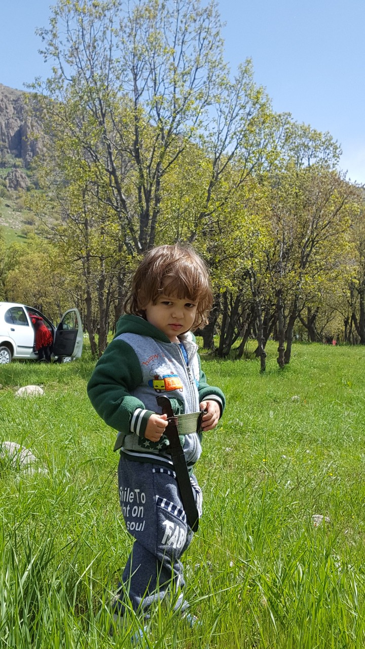 mohsen joon